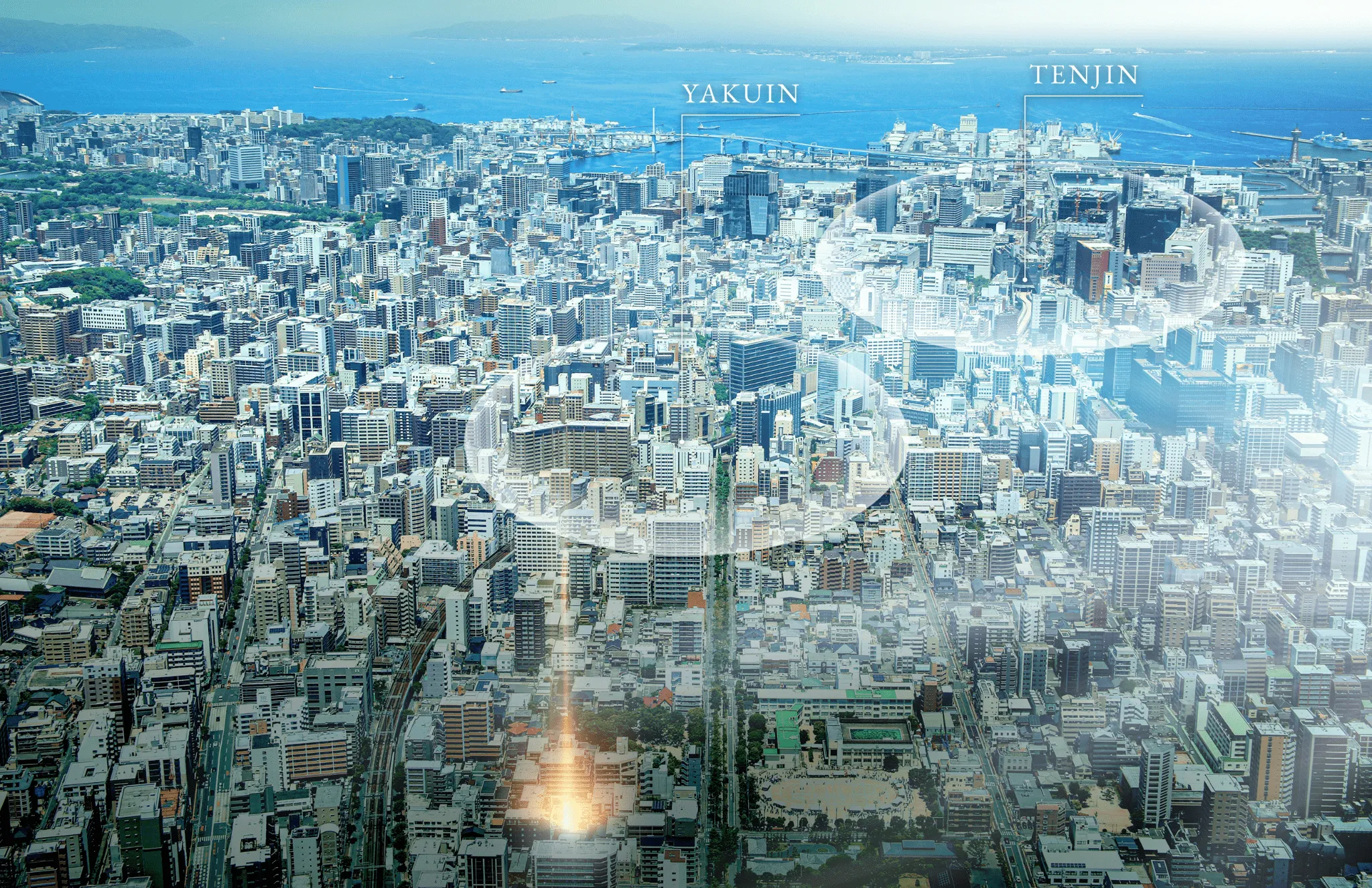 航空写真（2026年5月撮影）